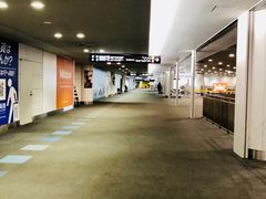 -中部国际机场