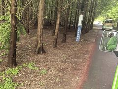 -黄海国家森林公园