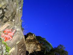 -福建泉州仙公山风景名胜区