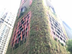 -豚骨王拉面(Orchid Hotel)