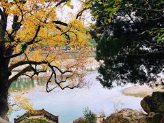 -溪口-滕头旅游景区