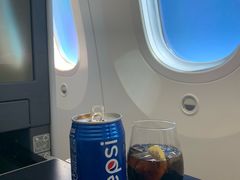 -全日本空输株式会社(上海办事处)