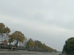 -胜华驾校·小猫学车(银都店)