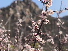 -北京水岸山吧度假村(雁栖镇店)