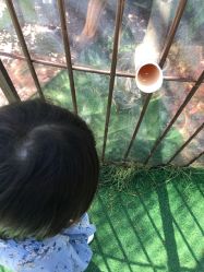 -萌宠亲子动物乐园(槐房万达店)