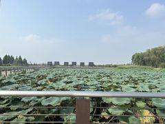 -滆湖低碳生态公园