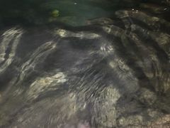 -苏州湾王焰温泉度假酒店