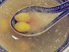 -大中鱼翅 Taitong Shark Fin