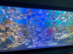 -海合安青岛极地海洋公园