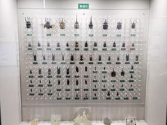 -国家自然博物馆