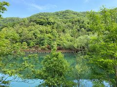 -桃花岭景区