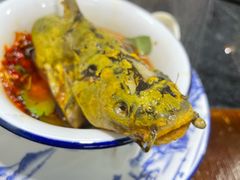 -秦巴石锅鱼(文化南路店)