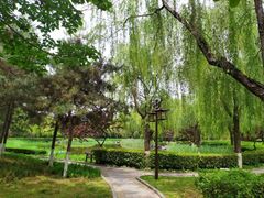 -木塔寺遗址生态公园