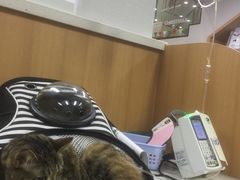 -联合动物医院(光谷诊疗中心)