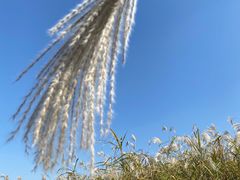 -汉江湾体育公园