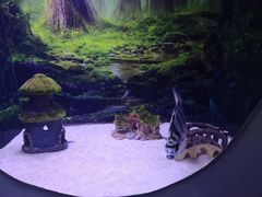 -芜湖新华联大白鲸海洋公园