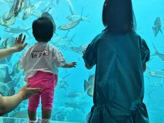 -瑞德姆美人鱼海底演艺主题餐厅(亚龙湾店)