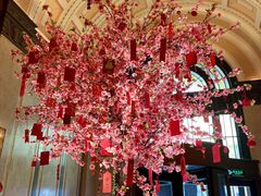 -上海和平饭店华懋阁 Cathay Room