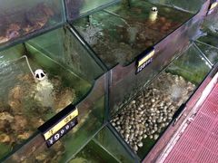 -四海鲜渔家菜(黄金海岸店)