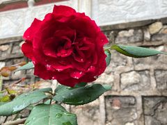 -湖洞水自然风景区