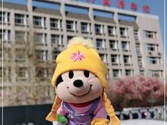-河北唐山外国语学校