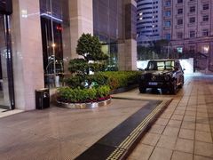 -长沙小天鹅戴斯酒店