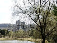 -沐仙湖湿地公园