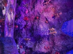 -沈阳海洋探索中心