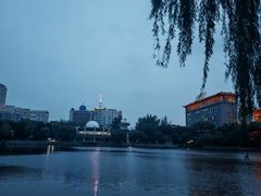 -文瀛公园