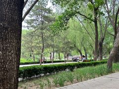 -元大都城垣遗址公园