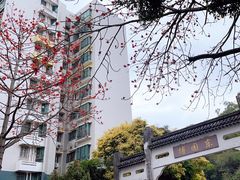 -深圳国际园林花卉博览园