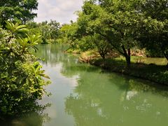 -西溪国家湿地公园