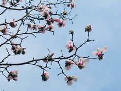 -东华门大街小区