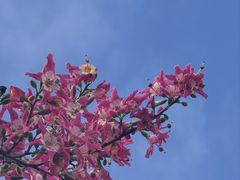 -厦门高崎国际机场-T3航站楼