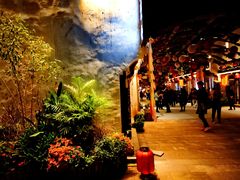 -婺源梦里老家大型山水实景演出