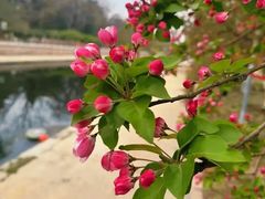 -元大都城垣遗址公园