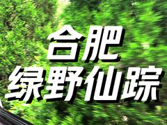 -合肥滨湖国家森林公园