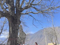-萝卜寨羌文化生态旅游区