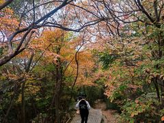 -紫金山山顶公园