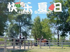 -北京群众马术培训基地