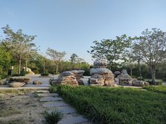 -大港湿地公园