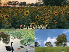 -上海山野camping·户外天幕烧烤·团建拓展营地