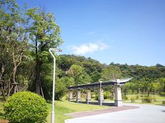 -飞凤山奥体公园