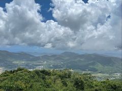 -三亚亚龙湾人间天堂鸟巢度假村