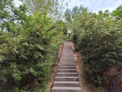 -南翠屏公园