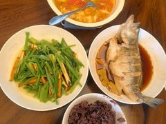 -苏州雏渐肥月嫂