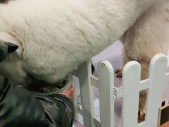 -威尼斯温泉会馆(青龙山大街)