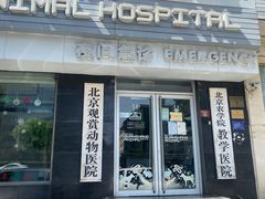 -北京观赏动物医院·24小时大型综合·猫专科·异宠专科