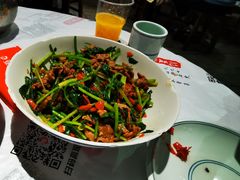 -壹盏灯(惠农店)