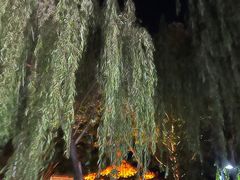 -河北村民俗体验园